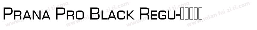 Prana Pro Black Regu字体转换